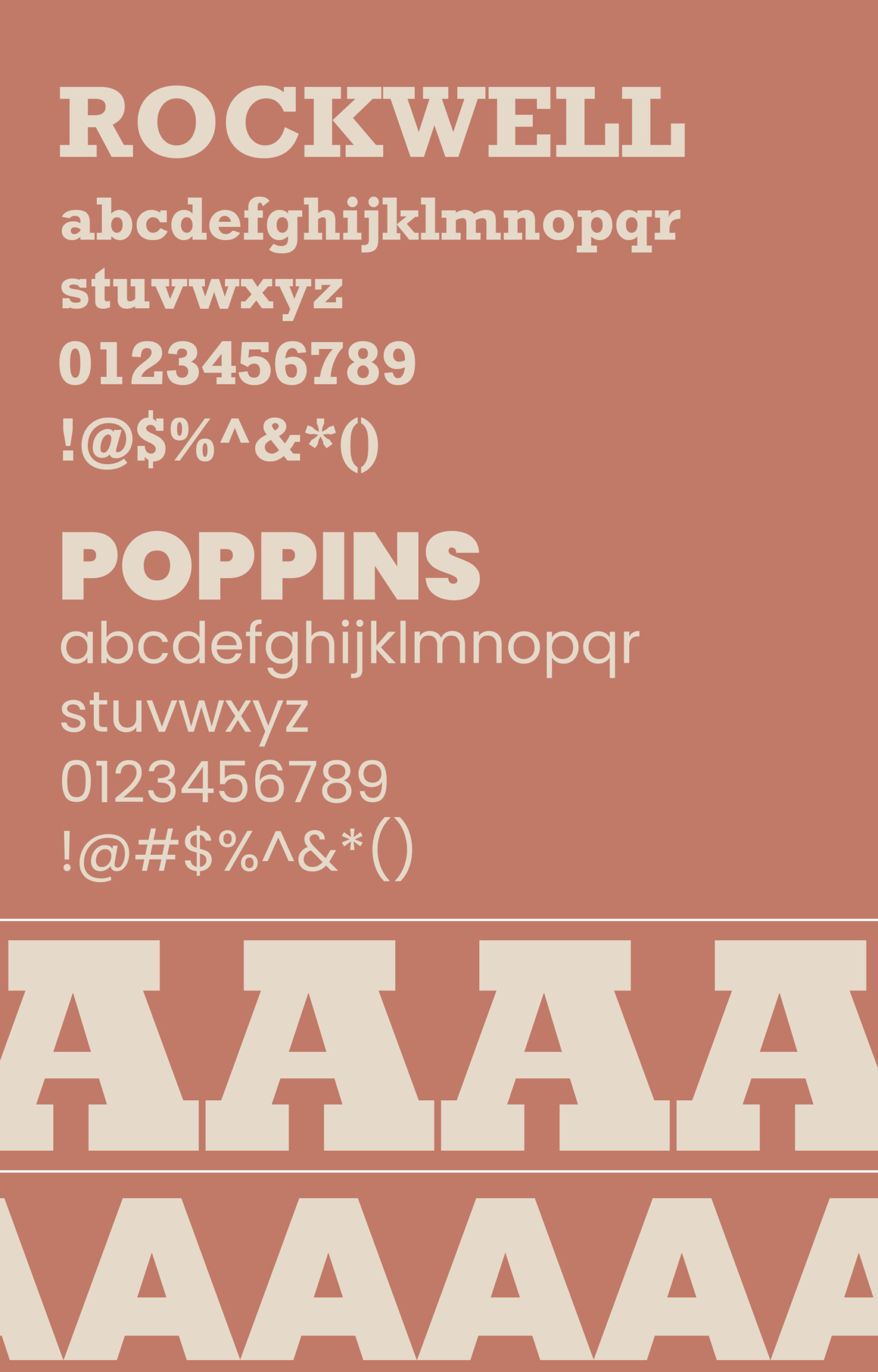 silka3.post scaled